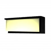 Applique da Esterno Nera Lampada LED CCT per Parete Impermeabile IP65 24W in Plastica